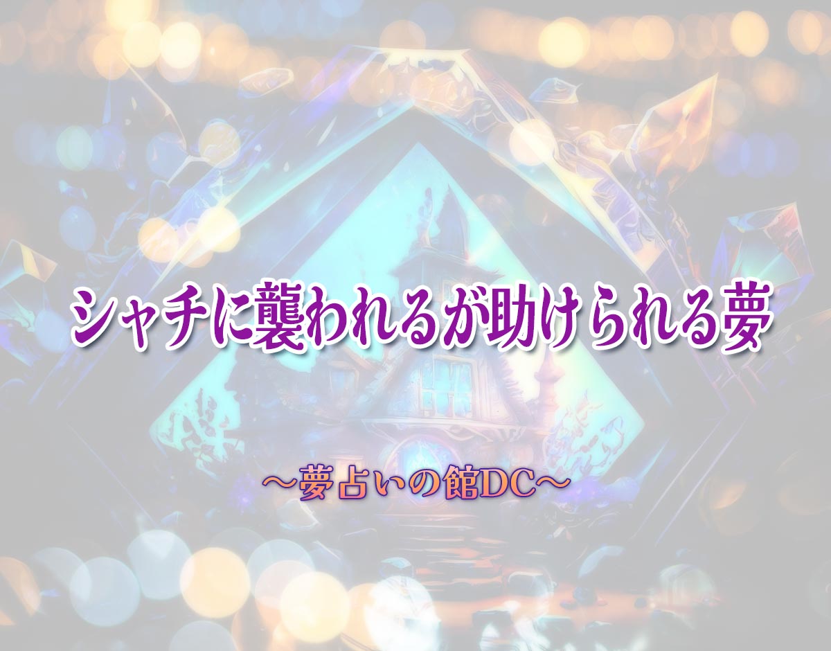 「シャチに襲われるが助けられる夢」の意味とは？【夢占い】恋愛運、仕事運まで徹底分析を解説