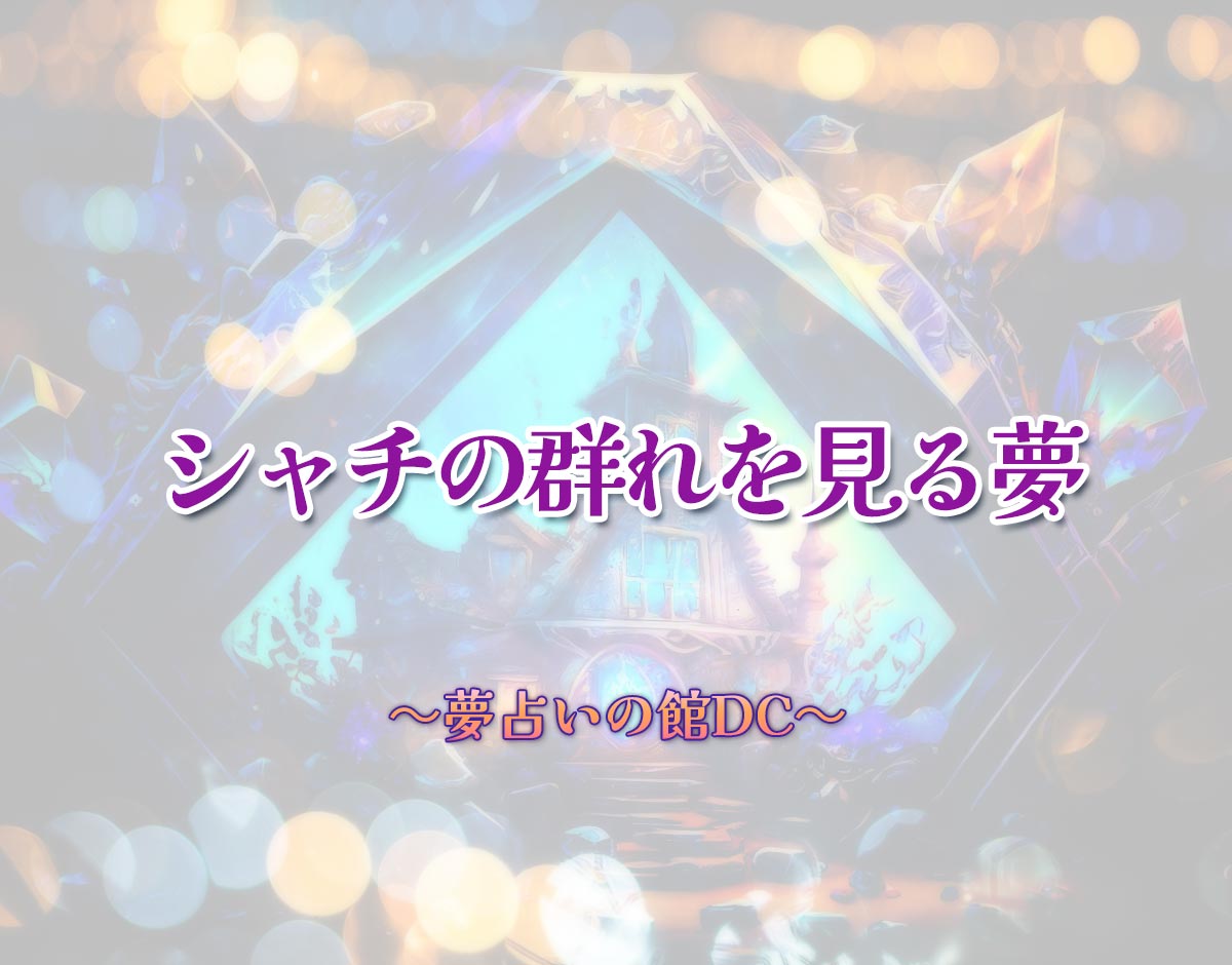 「シャチの群れを見る夢」の意味とは？【夢占い】恋愛運、仕事運まで徹底分析を解説